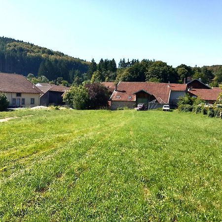 Gite Le Geleinfete II Vosges A Proximite De Gerardmer Herpelmont Экстерьер фото